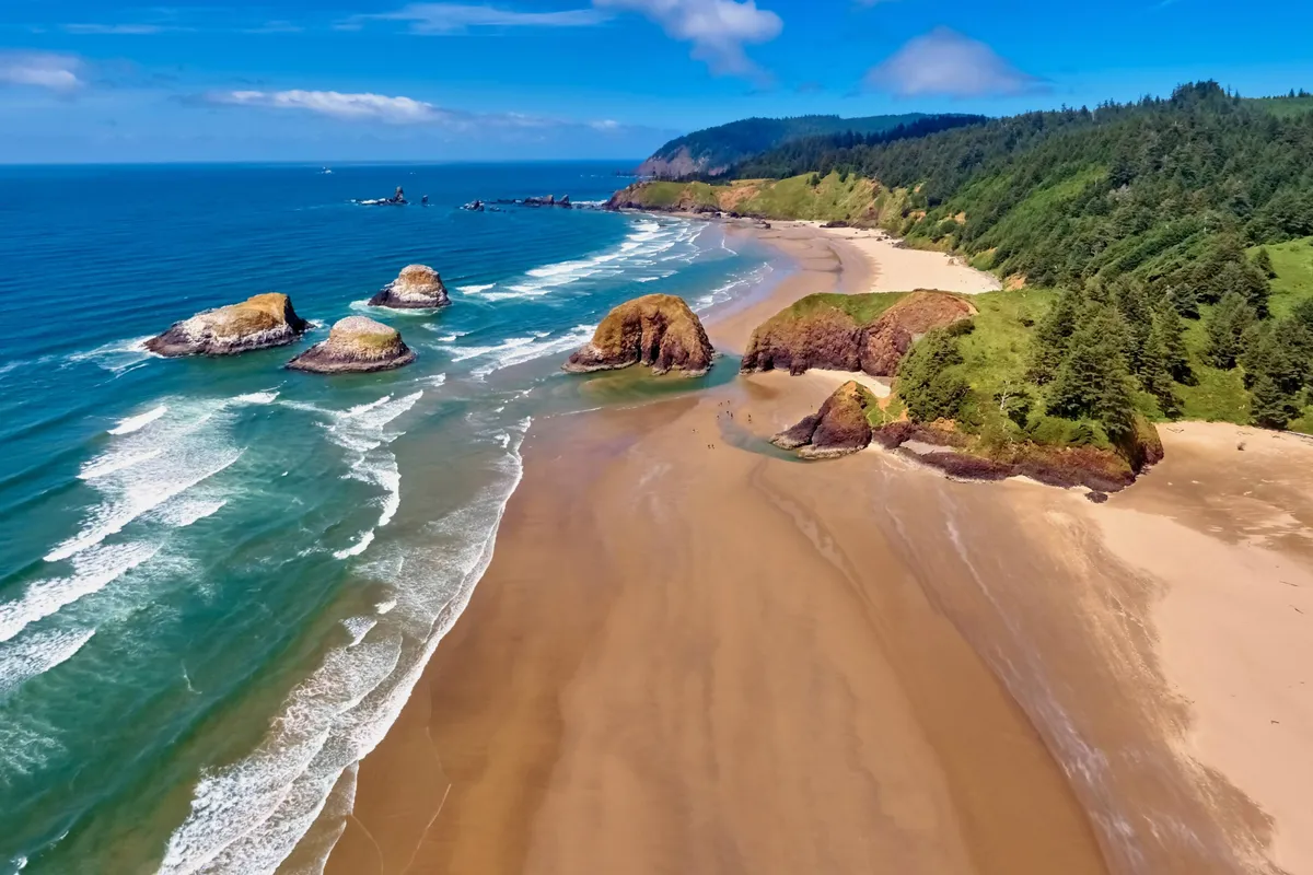 A sweeping view of the sandy beach with rugged rock formations, gentle waves, and lush forested hills in the background. People and pets can be spotted strolling along the shore, with the sense of open space and natural beauty characterizing the pet-friendly coastal environment.